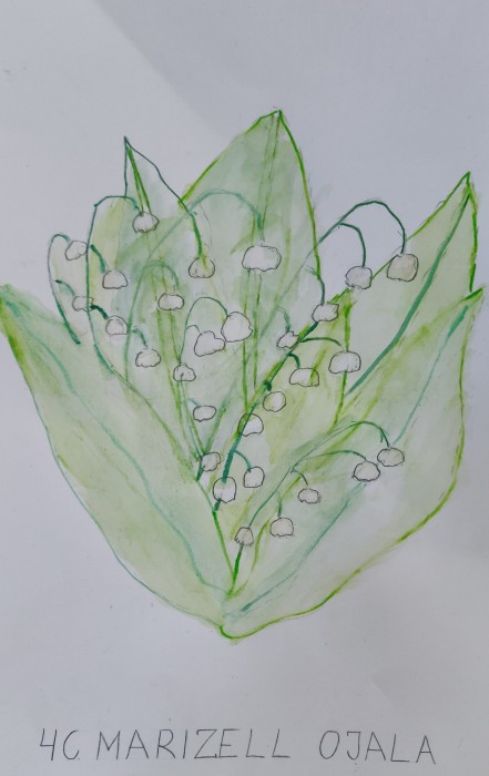 Image 01