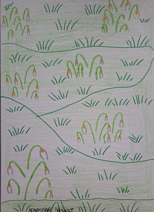 Image 01