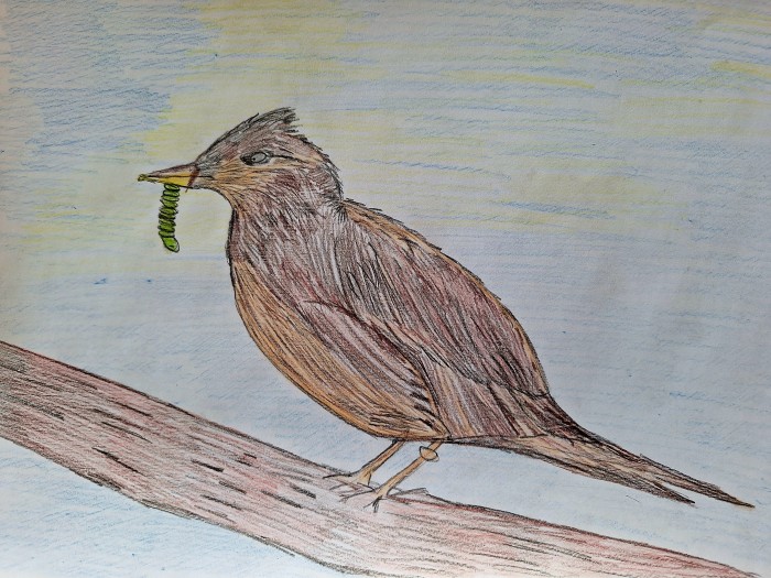 Image 01