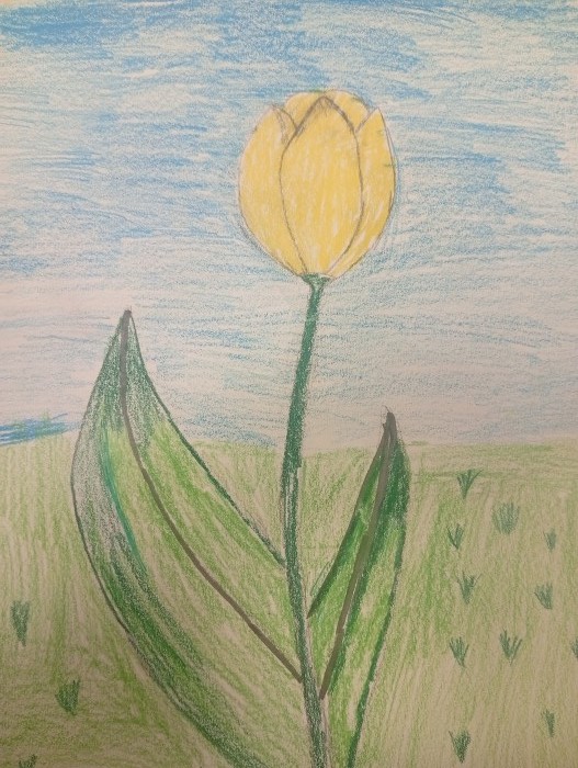 Image 01