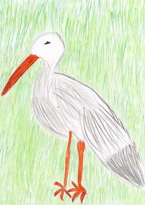 Image 01