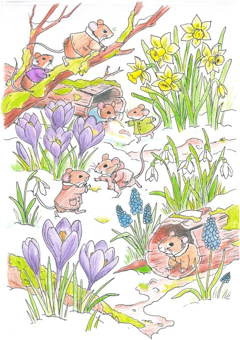 Image 01